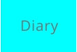 Diary